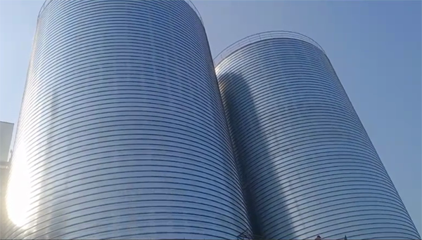 仁布2座混凝土高架卷板仓